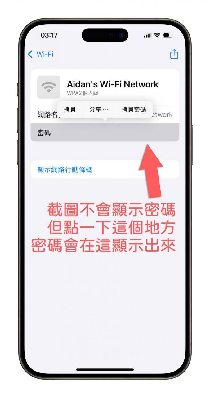 iPhone iOS 18 密码App