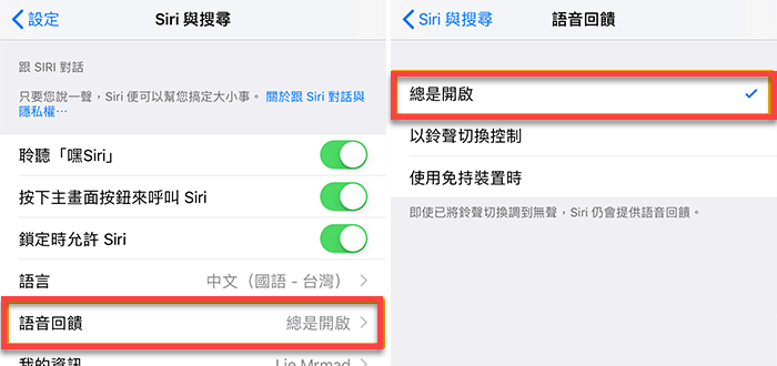 确认 Siri 语音反馈功能开启