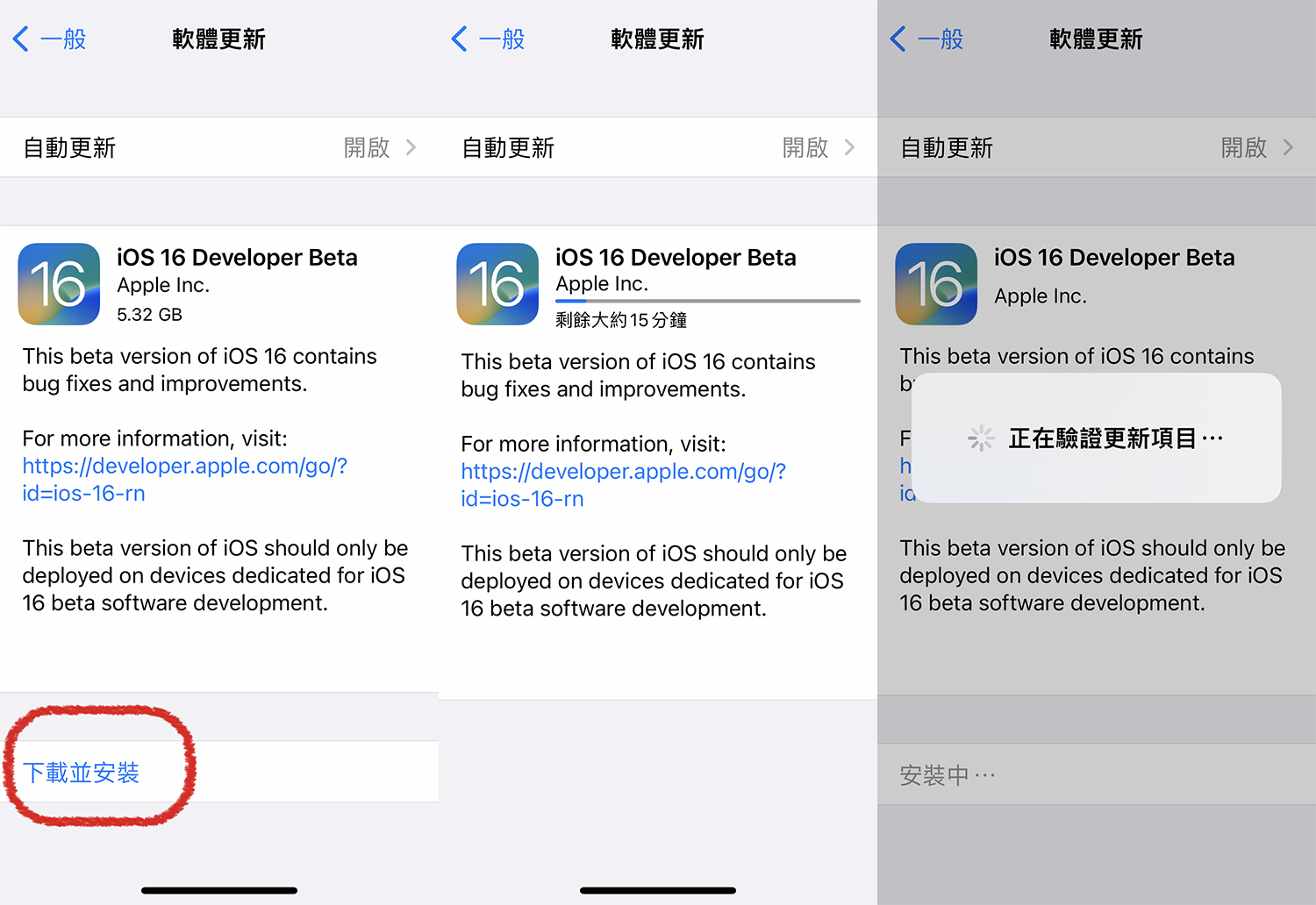 照片中提到了<一般、软件更新、自动更新，包含了网页、网页、计算机程序、多媒体、字形