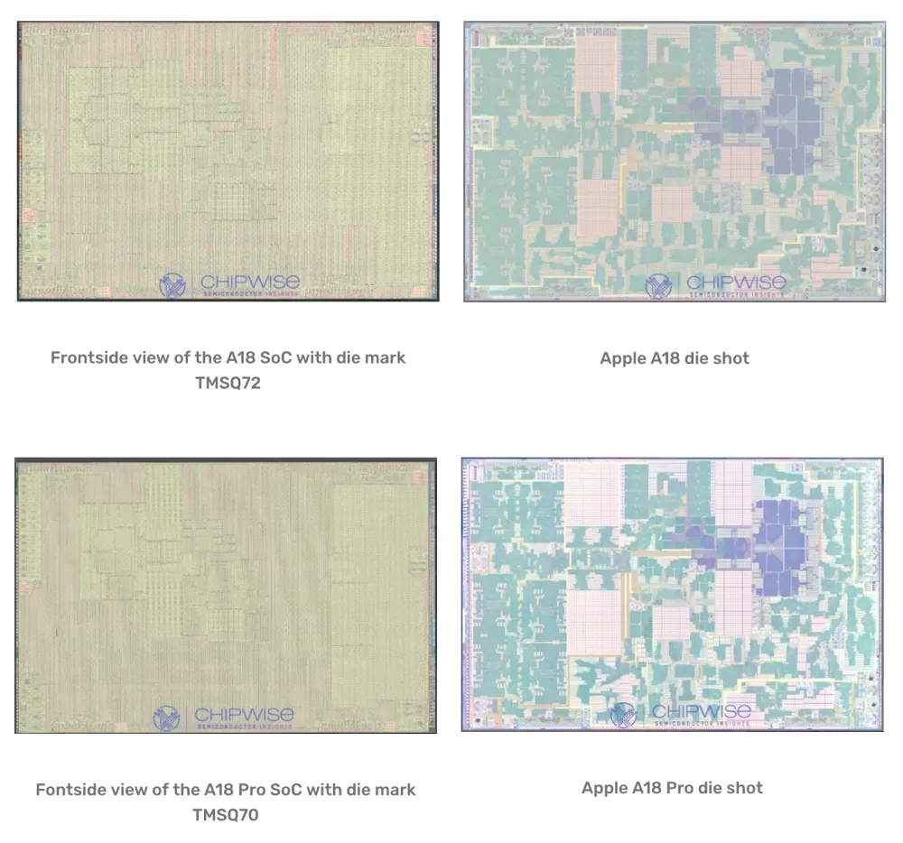 Apple A18 Pro与A18芯片架构差异曝光！ 第2张